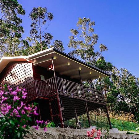 Wild Orchid Eco Tourism Munnar Luaran gambar