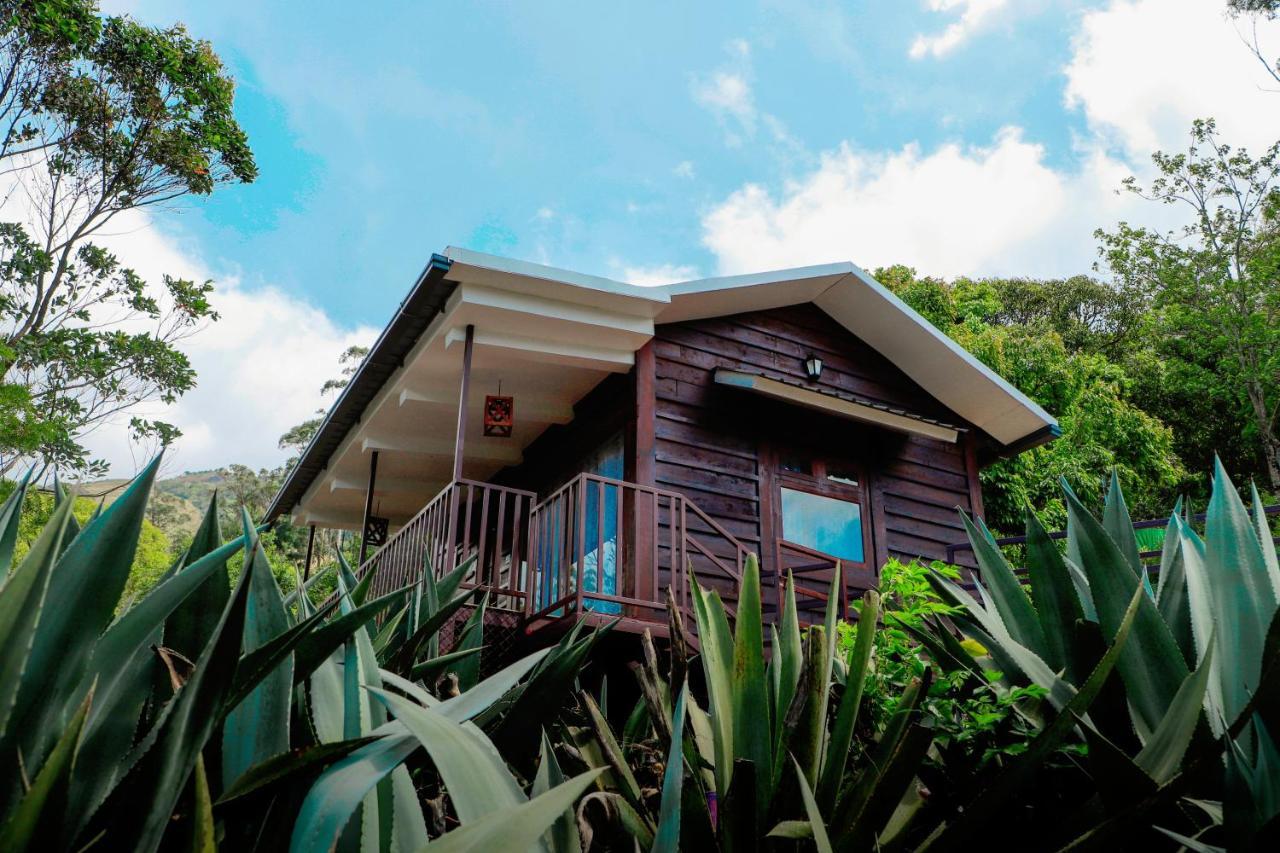 Wild Orchid Eco Tourism Munnar Luaran gambar