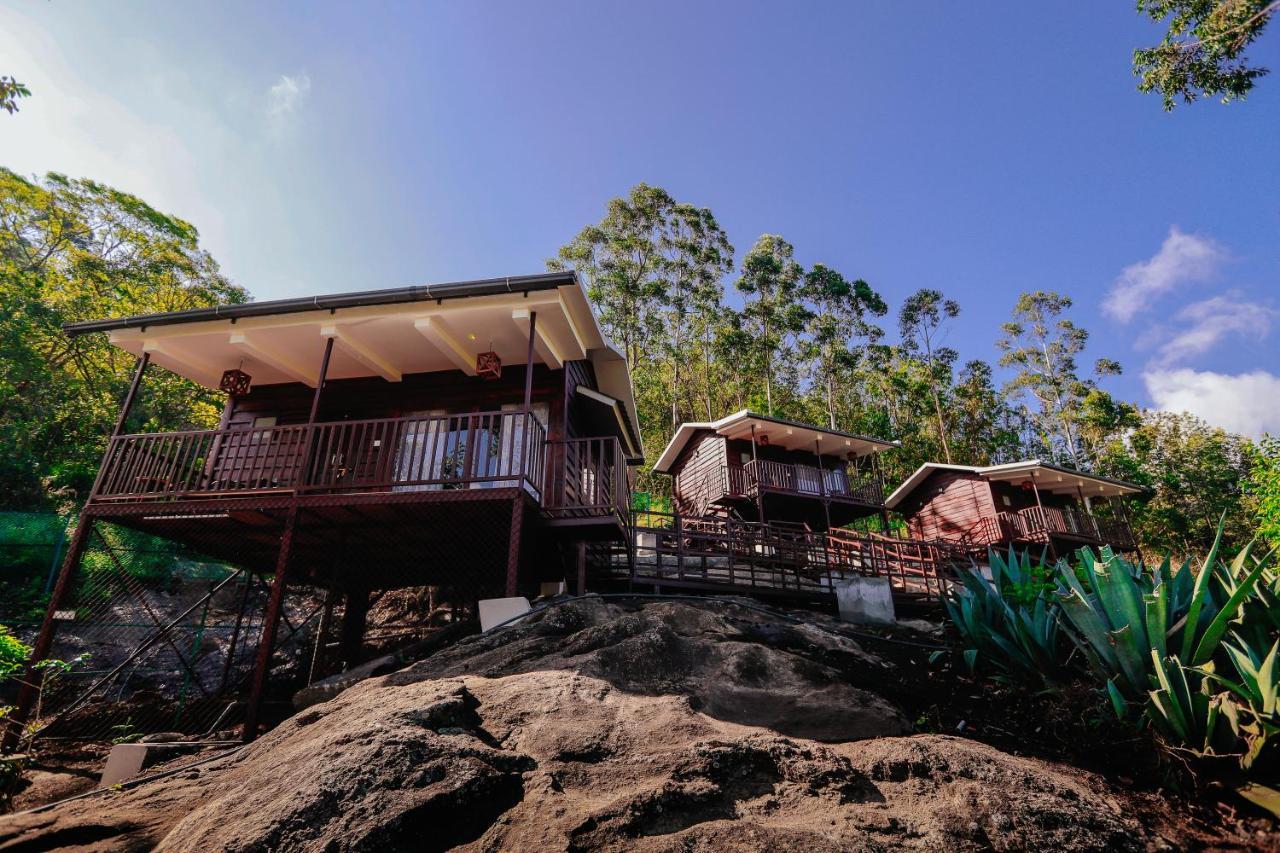Wild Orchid Eco Tourism Munnar Luaran gambar